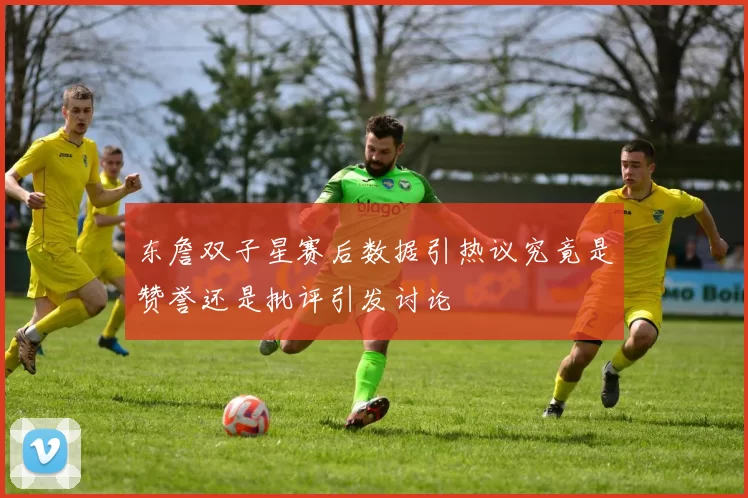 东詹双子星赛后数据引热议究竟是赞誉还是批评引发讨论