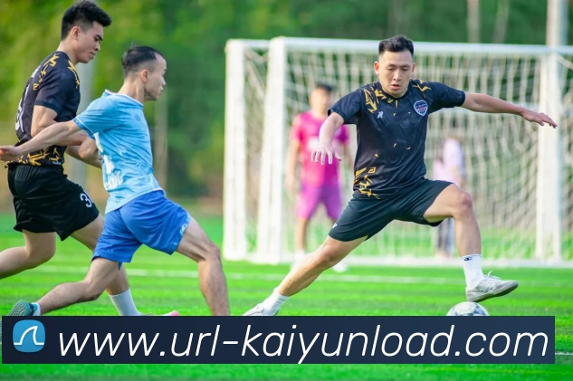 多媒体互动体验