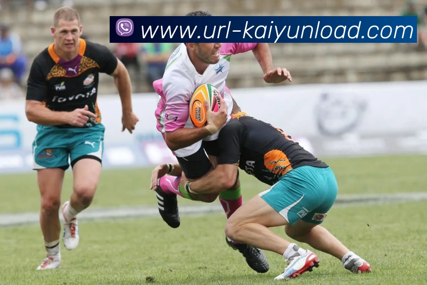 开云体育APP 高清赛事图